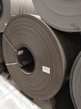 Immagine di 2009549673